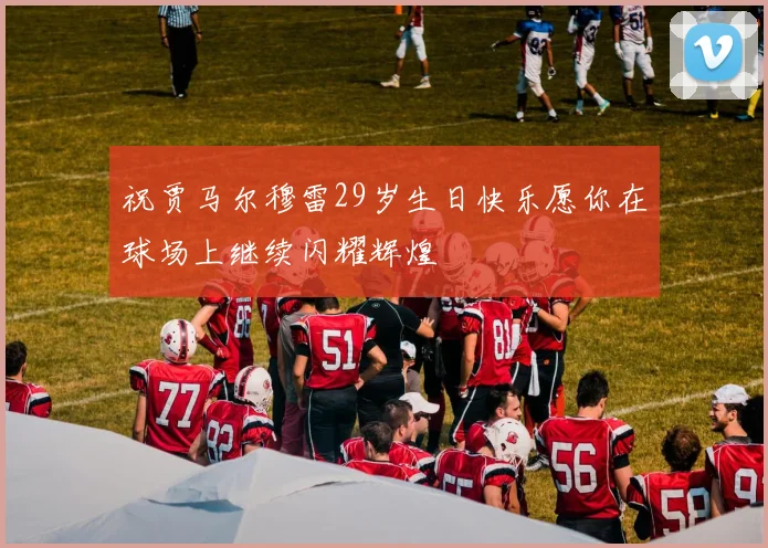 祝贾马尔穆雷29岁生日快乐愿你在球场上继续闪耀辉煌