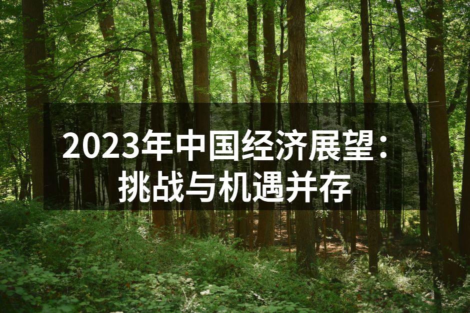 2023年中国经济展望：挑战与机遇并存