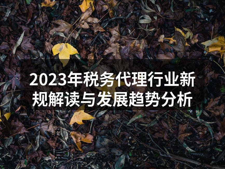 2023年税务代理行业新规解读与发展趋势分析