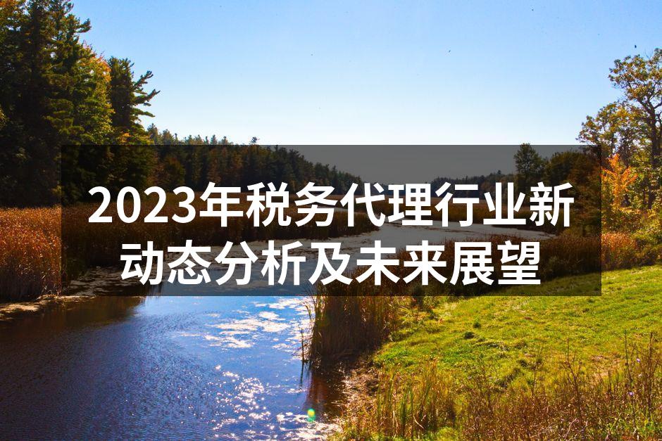 2023年税务代理行业新动态分析及未来展望