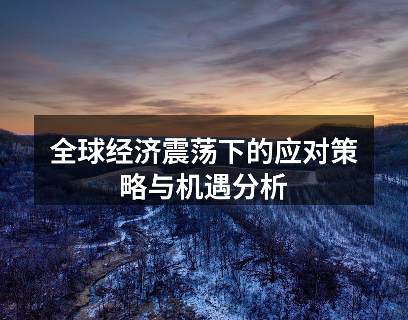 全球经济震荡下的应对策略与机遇分析